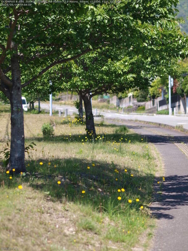 扇山町(別府市) 扇山町を境川沿いに上流へ歩く