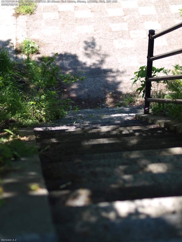 扇山町(別府市) 階段で河川敷広場へ下る