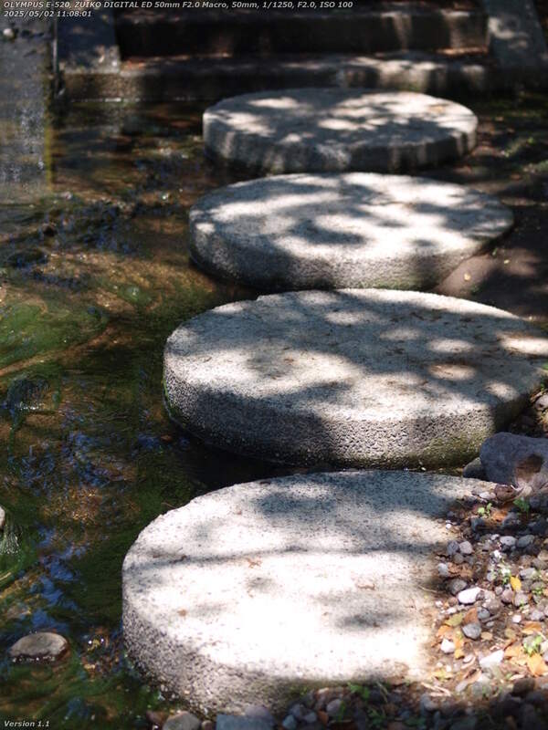 境川(別府市) 四連の円形の飛び石