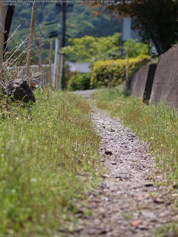 南立石生目町(別府市) 細い未舗装路を通って生目町の住宅地へ