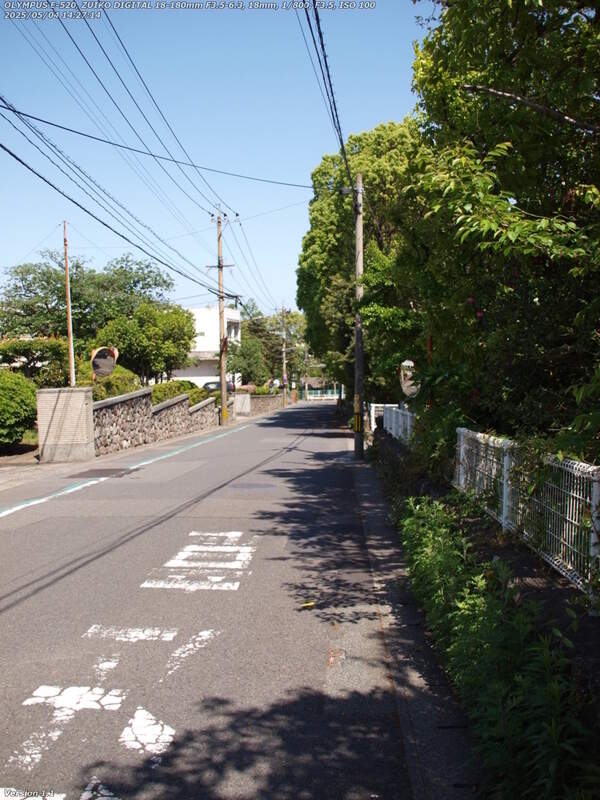南荘園町(別府市) 栄光園の脇を下る