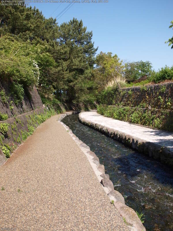 板地川(別府市) 板地川の河川敷広場を下る
