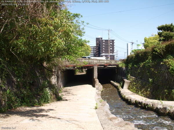 板地川(別府市) 野口原橋(市役所通り)