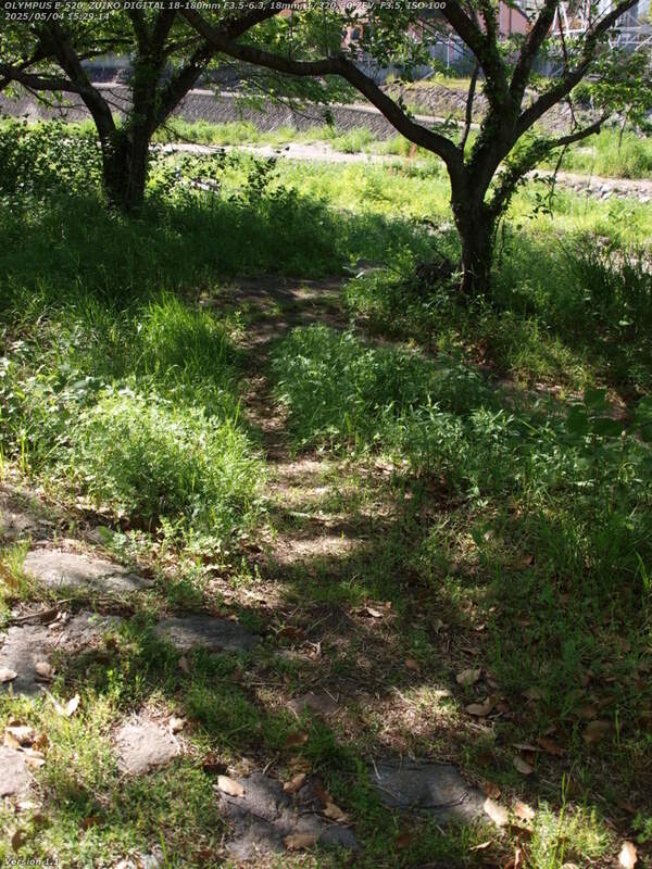 南立石二区(別府市) 土手を下る