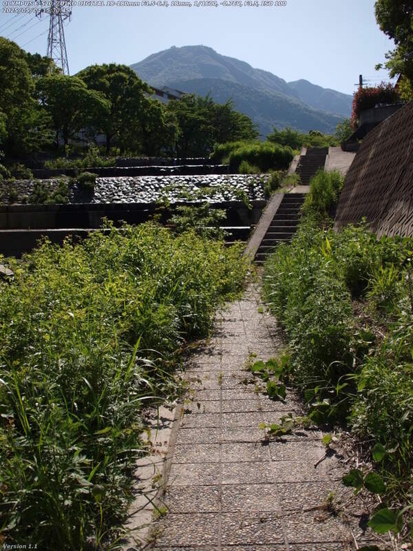 境川(別府市) 左岸を上流へ歩く