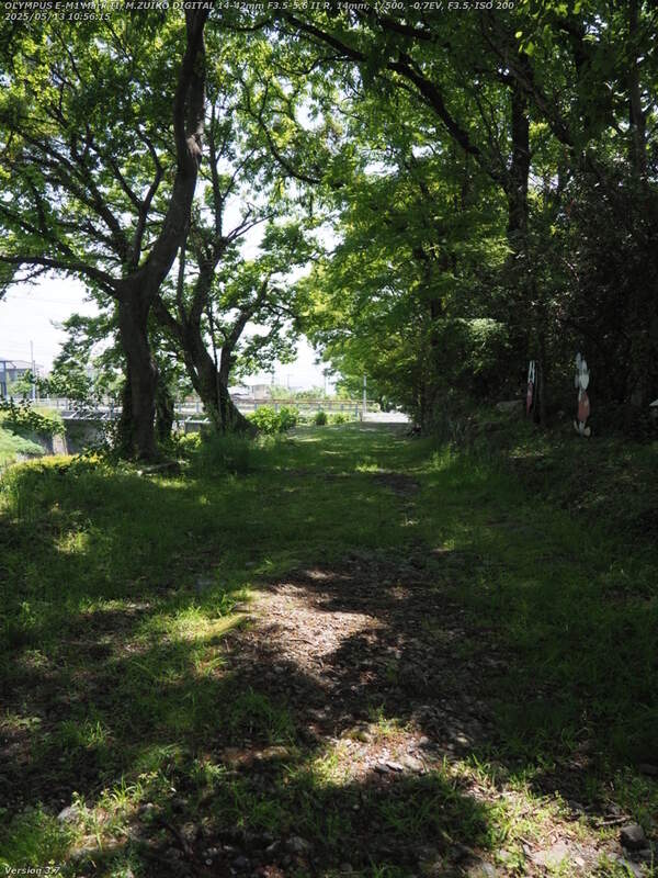 南立石生目町(別府市) 境川の土手上の未舗装路を下る