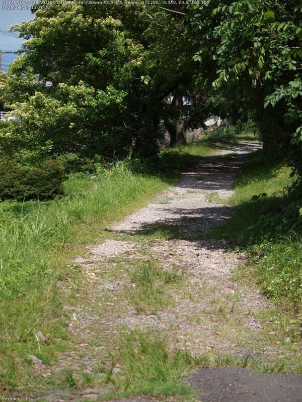 南立石二区(別府市) 西別府橋の脇から土手上の未舗装路を下る