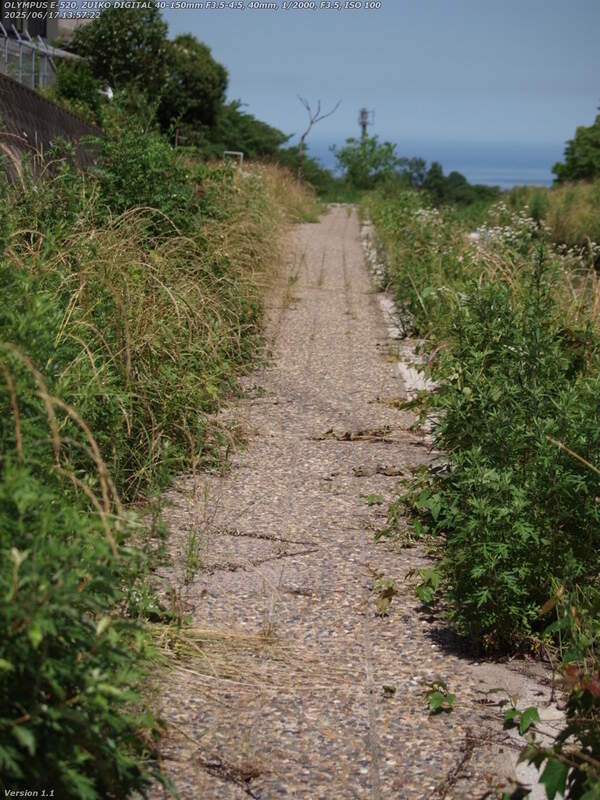 境川(別府市) 河川敷広場の左岸を進む