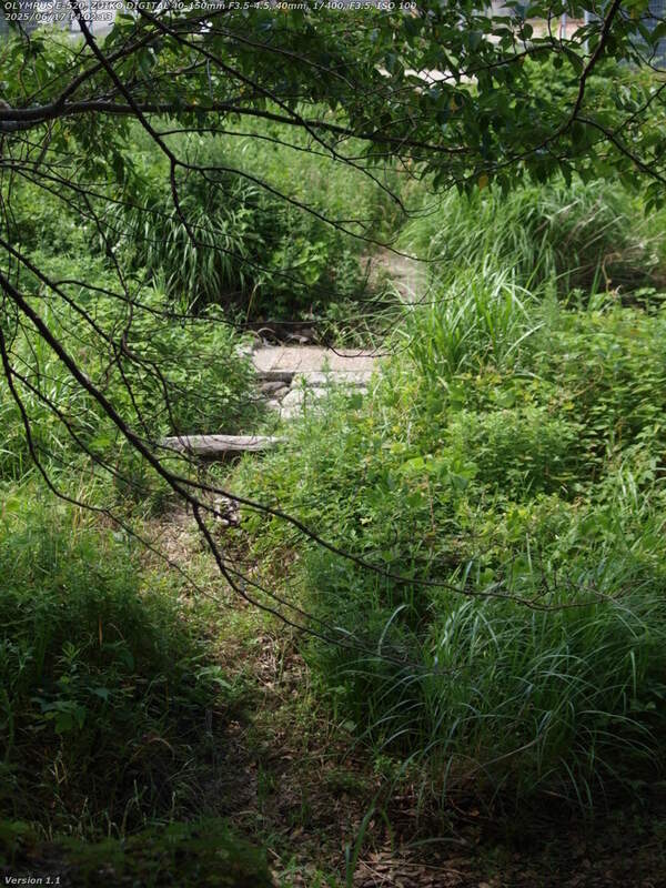 南立石公園(別府市) 草ボーボーなので左岸へ渡るのは難しい
