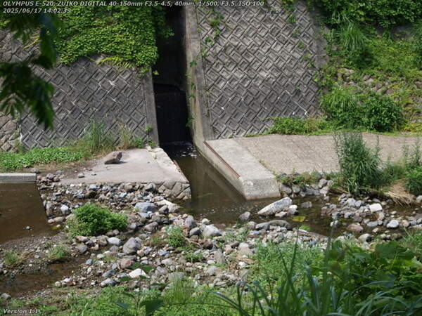 南立石公園(別府市) まだ修復されていない水路の蓋