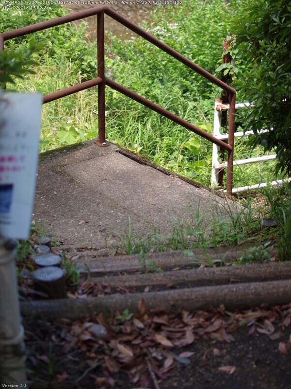南立石公園(別府市) 河川敷広場へ下る
