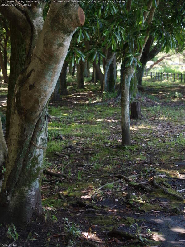 南立石公園(別府市) 南立石公園を境川沿いに上流へ進む