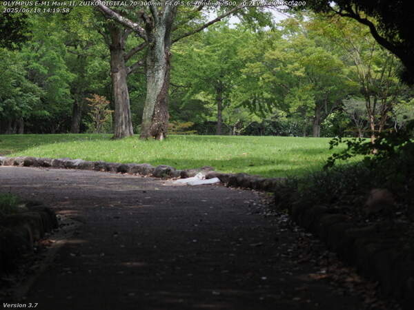 南立石公園(別府市) 初夏の南立石公園を下流へ歩く