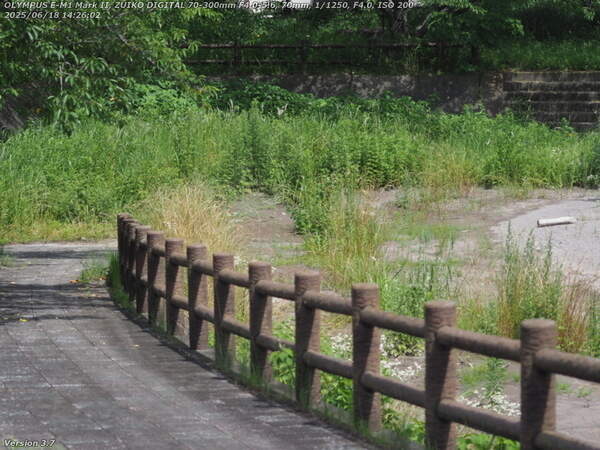 荘園(別府市) スロープで河川敷広場へ下っても草ボーボー
