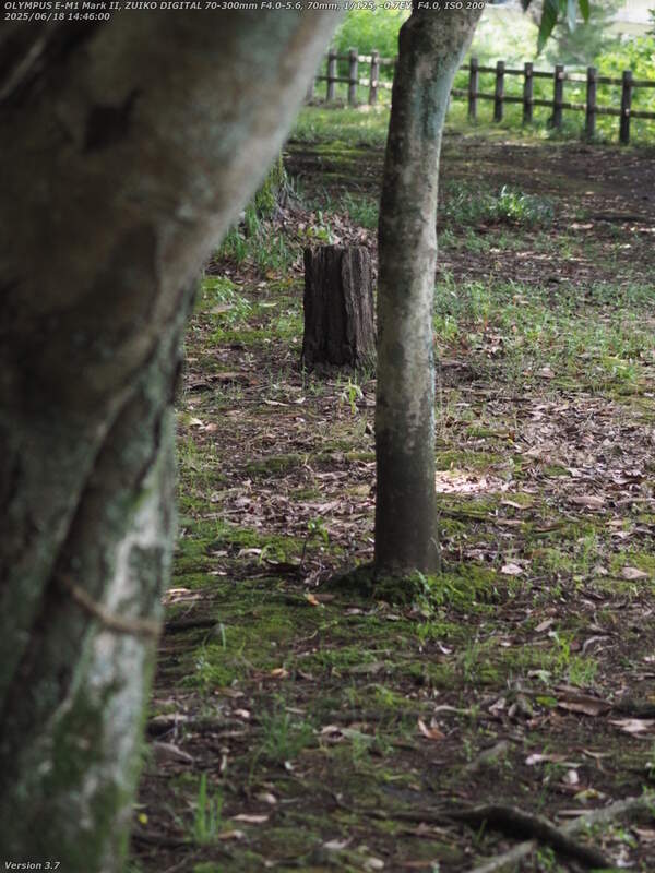 南立石公園(別府市) 南立石公園を境川沿いに上流へ歩く