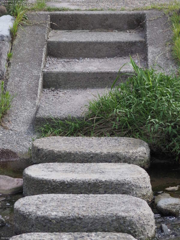 境川(別府市) 飛び石で右岸へ渡る