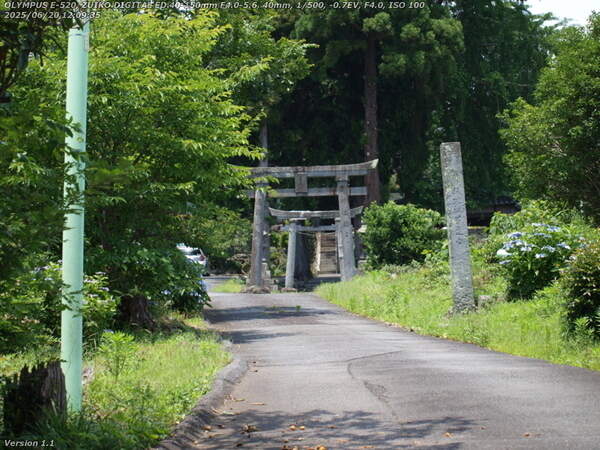 生目神社(別府市) 生目神社で参拝