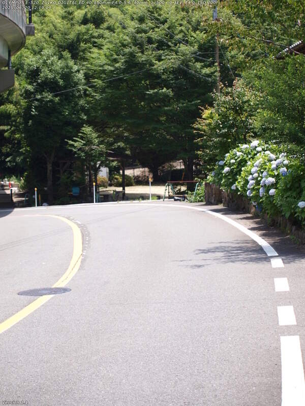 南立石生目町(別府市) 52号線の旧道を下る