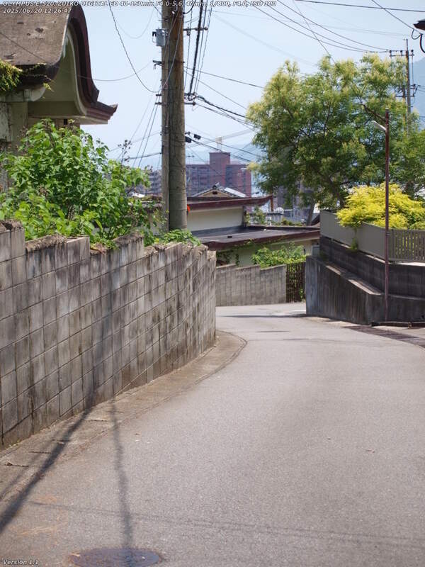 南立石八幡町(別府市) 霊泉寺の裏の道を下る