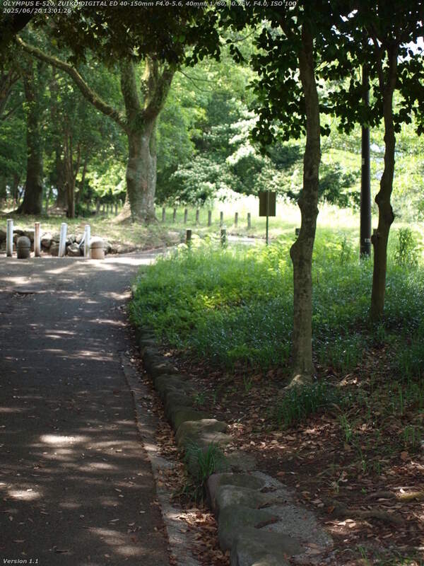 南立石公園(別府市) 公園を抜けて土手上の遊歩道へ