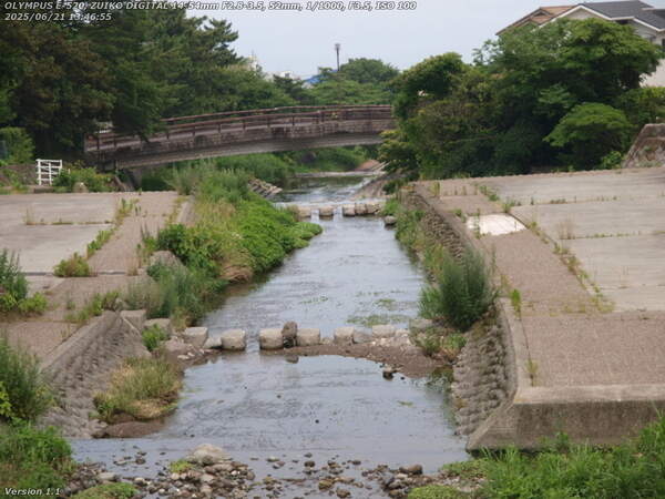 境川(別府市) であい橋