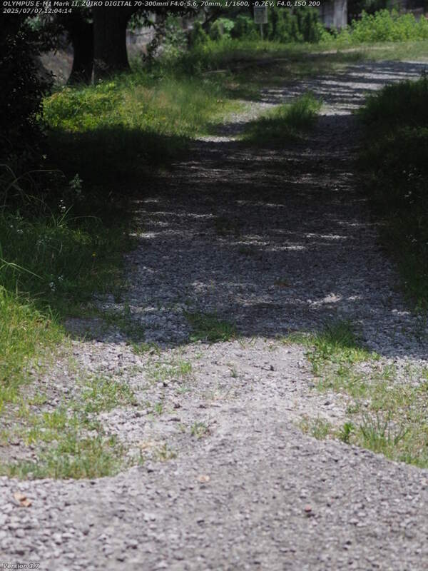 南立石二区(別府市) 西別府橋の脇から土手上の未舗装路を下る