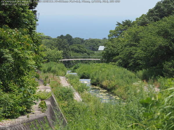 境川(別府市) イナコスの橋