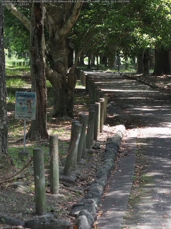 南立石二区(別府市) 土手上の遊歩道で南立石公園へ向かう