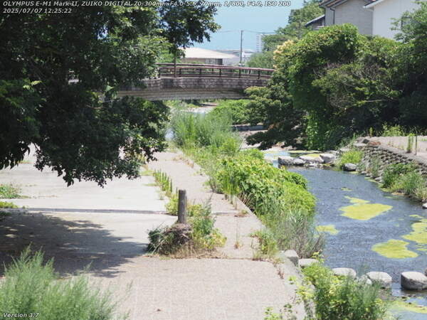 境川(別府市) であい橋