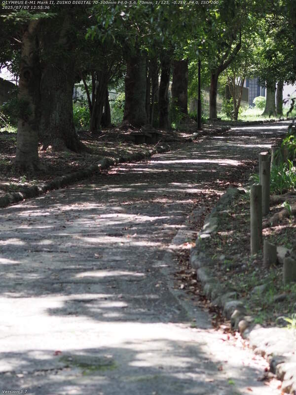 南立石二区(別府市) 土手上の遊歩道を進む