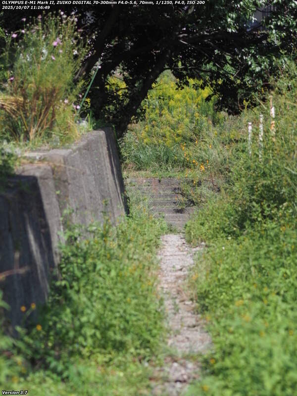 南立石生目町(別府市) 境川の河川敷へ