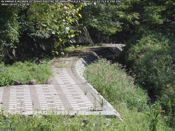 境川(別府市) 河川敷の左岸の下流の様子