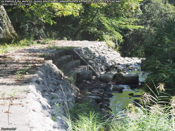 境川(別府市) 河川敷の左岸を下流へ歩く
