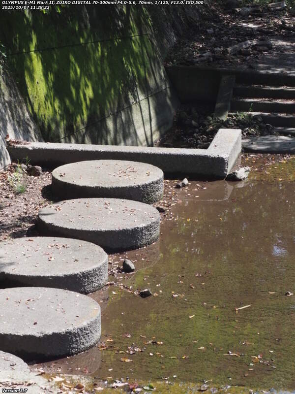 境川(別府市) 砂防ダムの上段の五連の飛び石と下段の四連の飛び石