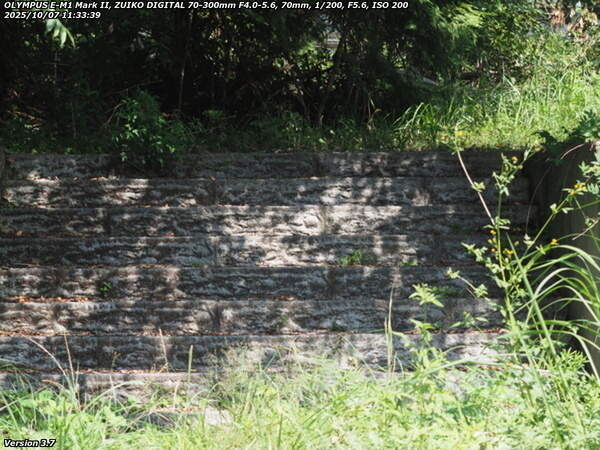 境川(別府市) 階段で土手上の草地へ
