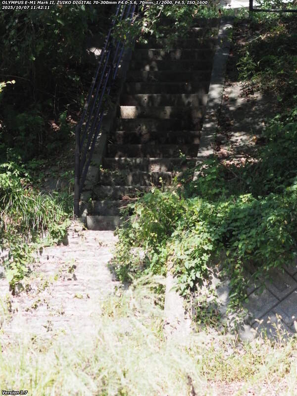 境川(別府市) 階段で扇山町側の道路へ