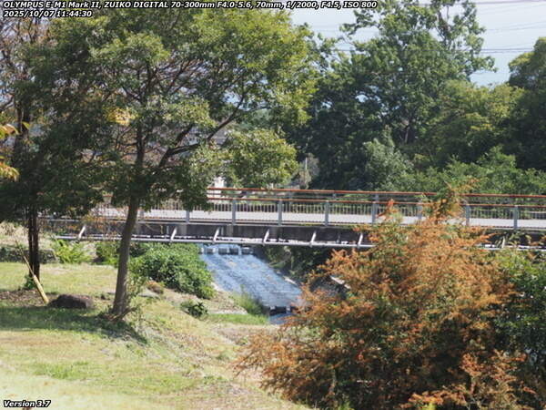 扇山町(別府市) 境川沿いに道路を下る