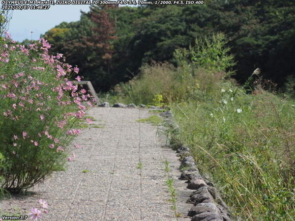 境川(別府市) 西別府団地の横の河川敷を下流へ