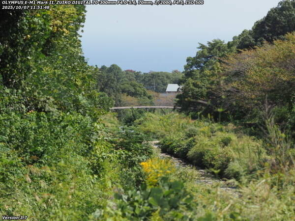 境川(別府市) 遠くに見えるイナコスの橋