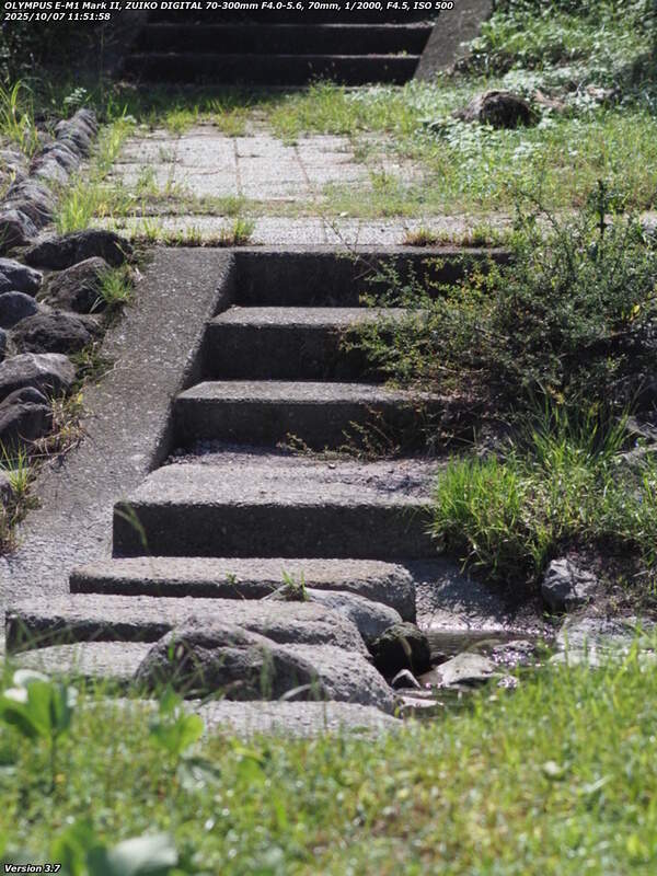 境川(別府市) 飛び石で対岸へ渡って土手上の遊歩道へ