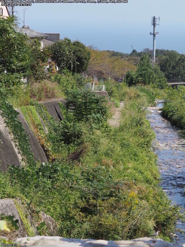 境川(別府市) 飛び石の途中からの下流の眺め