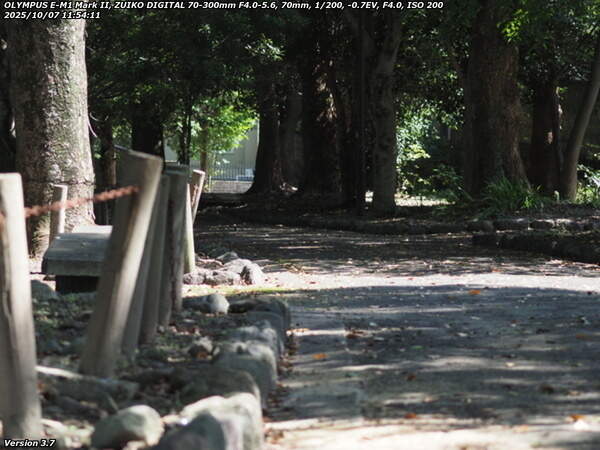南立石二区(別府市) 土手上の遊歩道で南立石公園へ