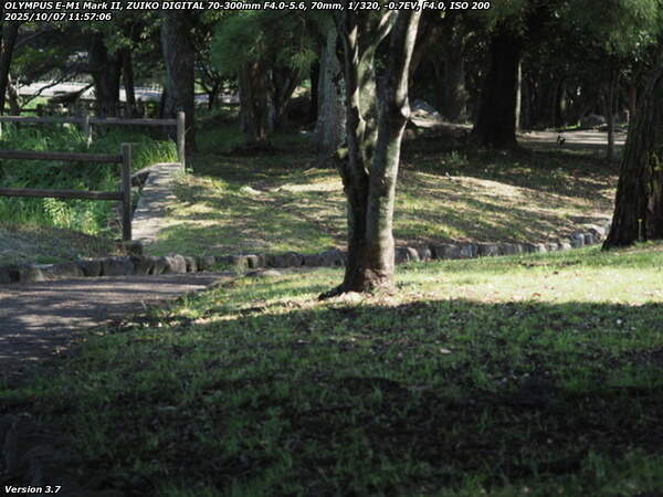南立石公園(別府市) 南立石公園を境川沿いに下流へ