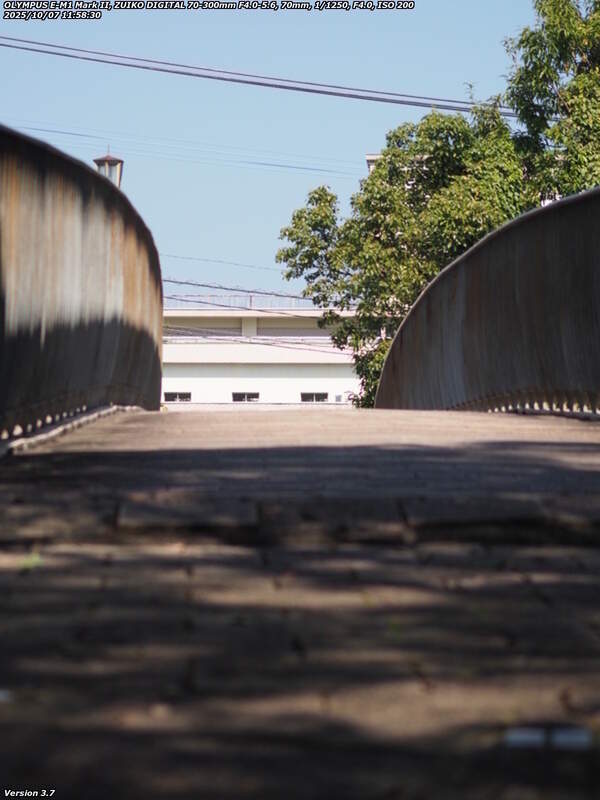 南立石公園(別府市) イナコスの橋とその先の西別府病院