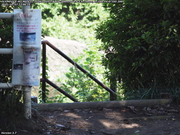 南立石公園(別府市) 階段で河川敷へ