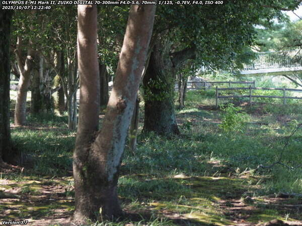 南立石公園(別府市) 南立石公園を境川沿いに上流へ