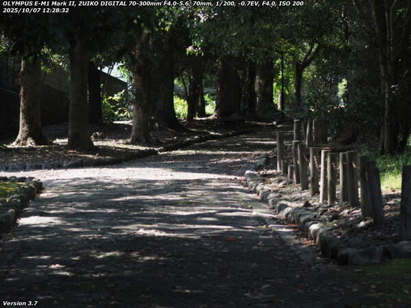 南立石二区(別府市) 土手上の遊歩道を上流へ