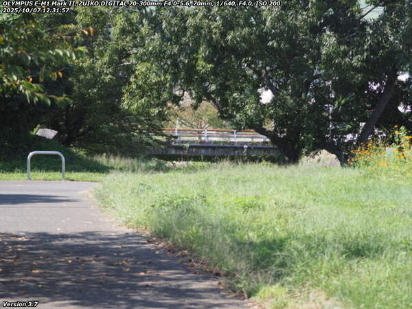 南立石二区(別府市) 西別府橋が見えてきた