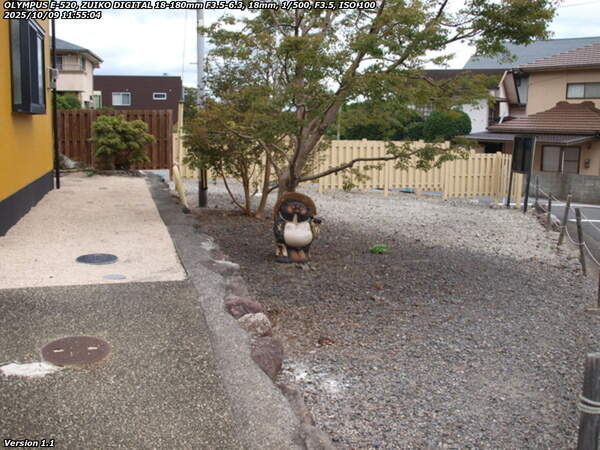 南荘園町(別府市) タヌキの置物