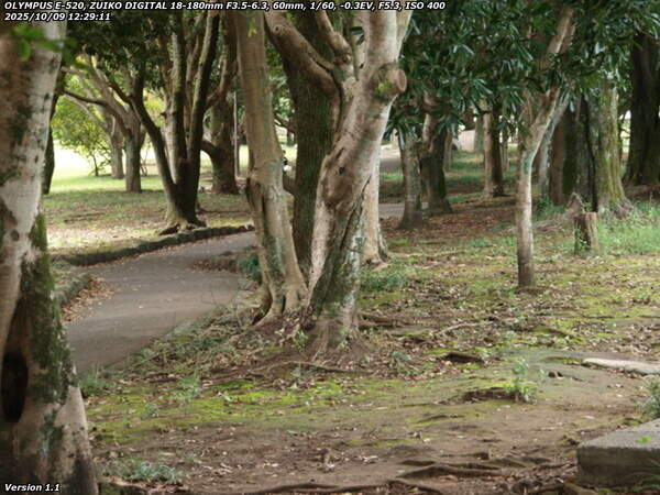 南立石公園(別府市) 境川沿いに上流へ進む